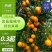 蜜橘，特早蜜桔，一手货源，保质保量，蜜桔香味浓郁
