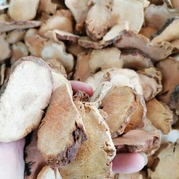 土茯苓，野生货，干片，产地批发