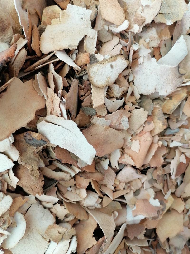 土茯苓，野生货，干片，产地批发
