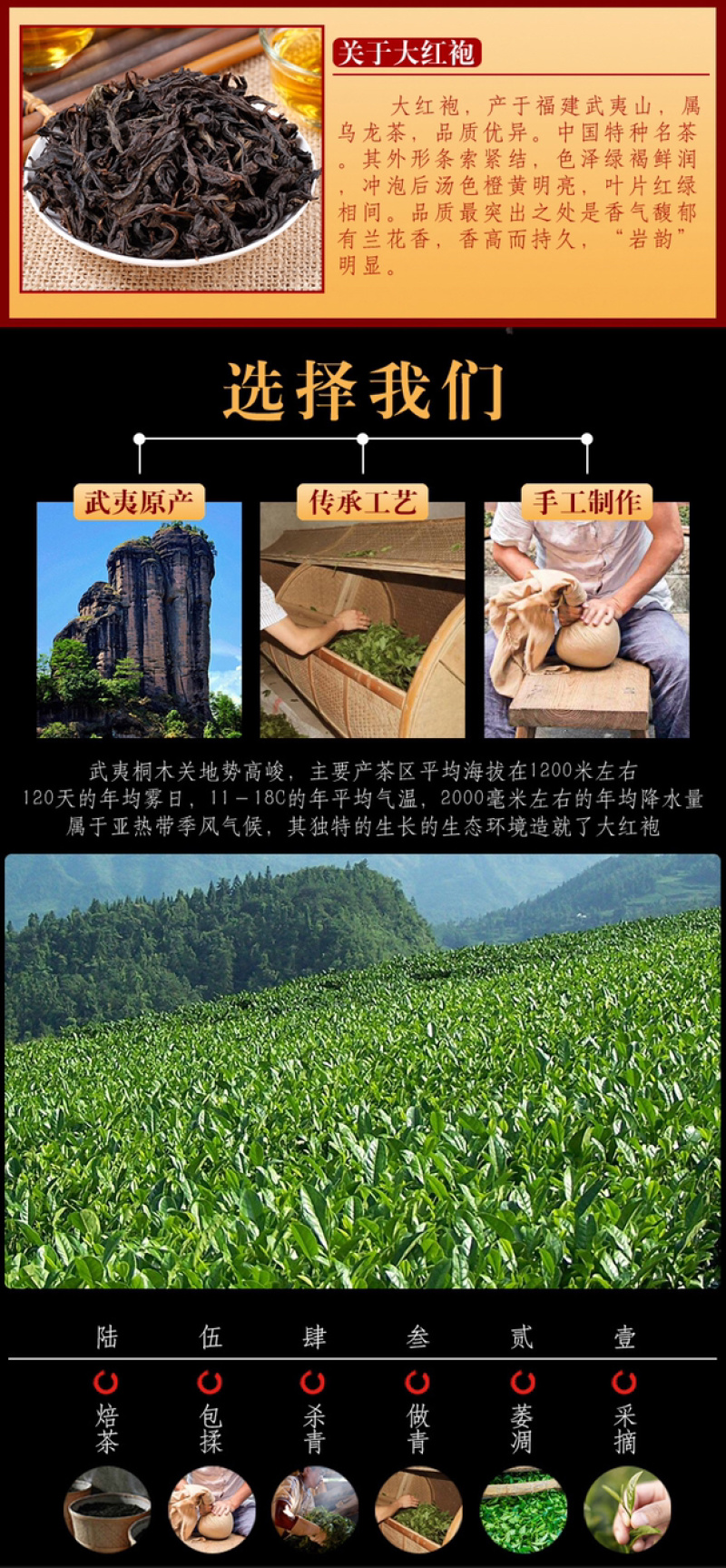 大红袍茶叶新茶武夷岩茶浓香型高山乌龙茶肉桂礼盒装300g