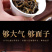大红袍茶叶新茶武夷岩茶浓香型高山乌龙茶肉桂礼盒装300g