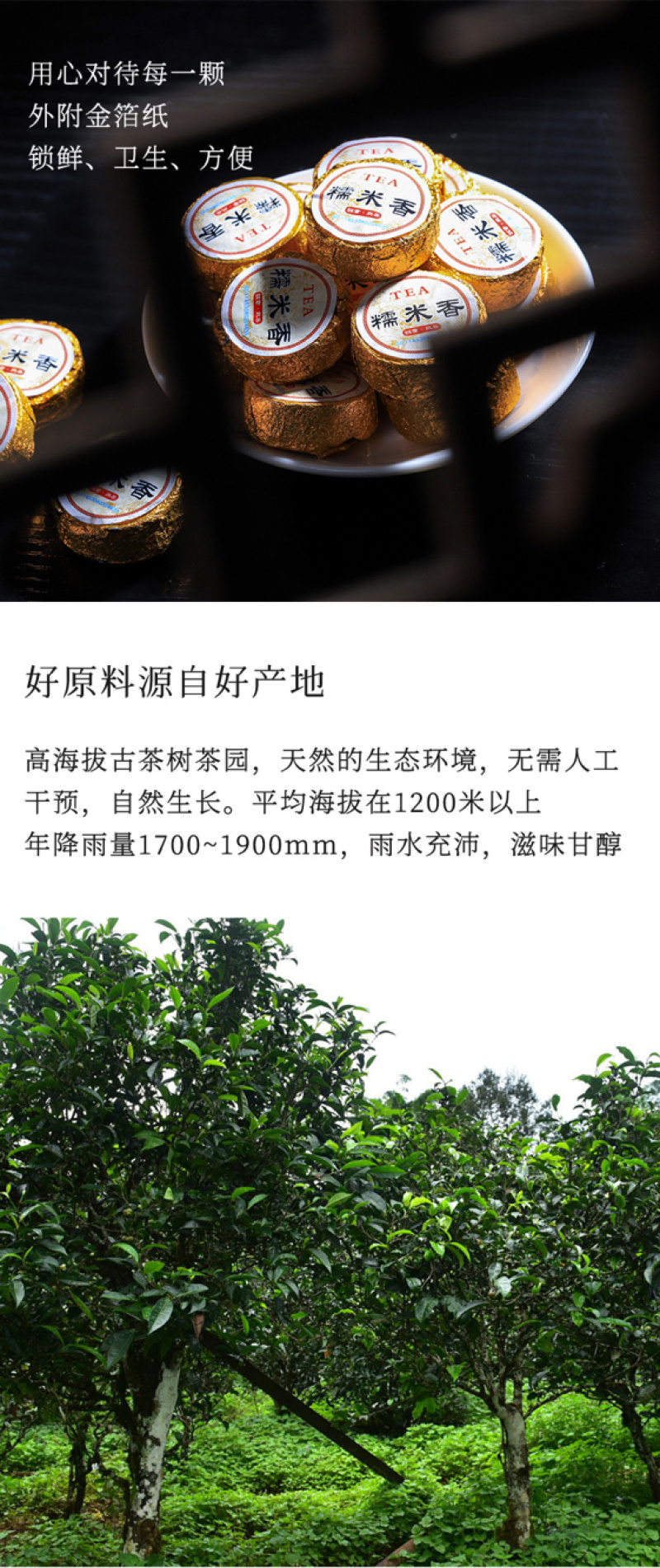 云南勐海糯米香迷你小沱茶小金砖普洱茶熟茶茶叶罐装500g