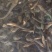 黑皮鸡枞干品，量大的欢迎咨询