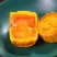 【时泰食品】金皇记流心月饼中秋礼盒装高端大气上档次