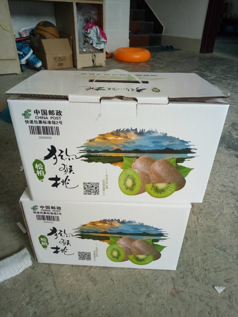 湘西绿心猕猴桃米良一号