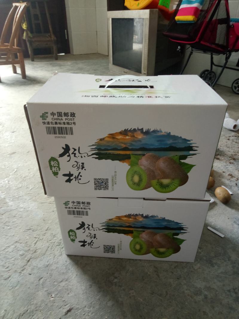 湘西绿心猕猴桃米良一号