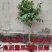 核桃树苗嫁接苗现挖现发南北方庭院户外种植均可
