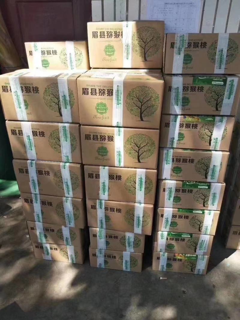 海沃德猕猴桃陕西秦岭野生