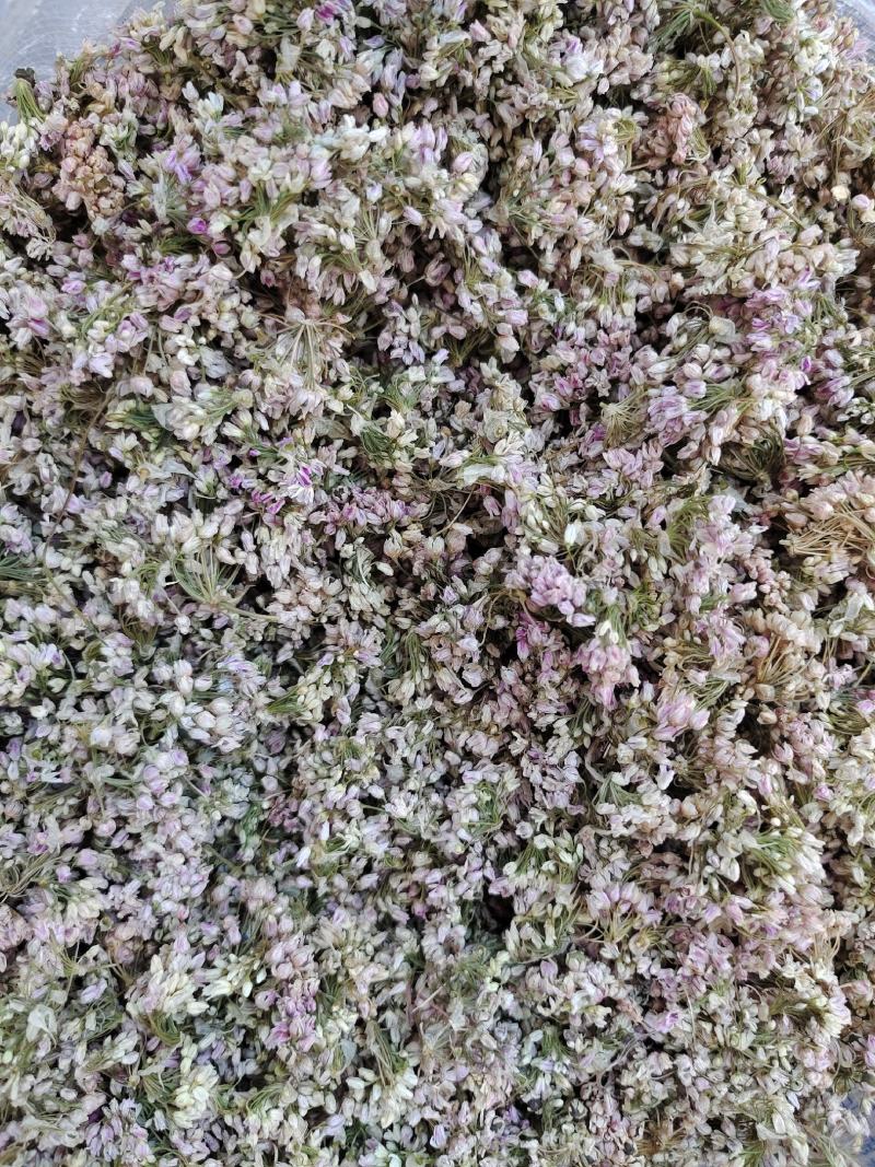 特级野葱花、麻麻花颜色号气味好