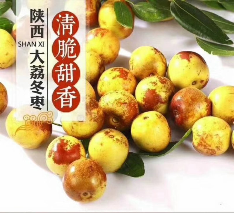 大荔冬枣，皮薄脆甜，一箱直发，