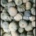 灰燕南瓜，品质优，价格便宜，全国大面积合作种植，欢迎合作