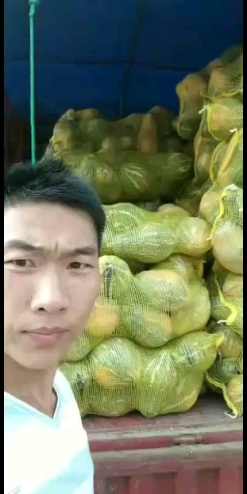 灰燕南瓜，品质优，价格便宜，全国大面积合作种植，欢迎合作
