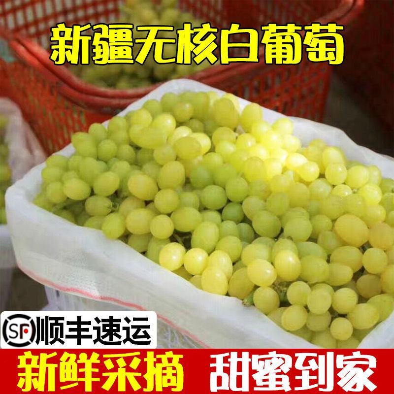 【冷链】新疆吐鲁番无核白葡萄新鲜水果现摘现发无籽马奶提