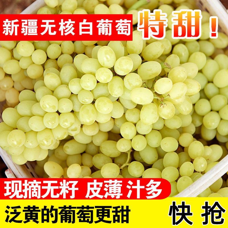 【冷链】新疆吐鲁番无核白葡萄新鲜水果现摘现发无籽马奶提