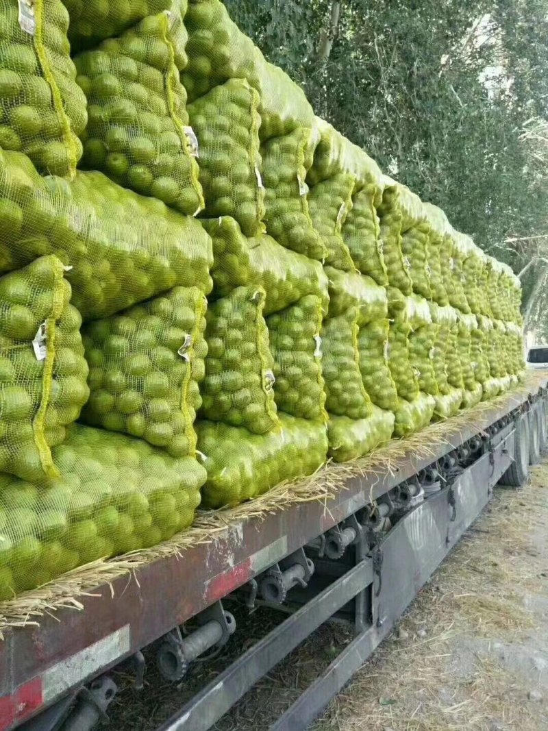 核桃