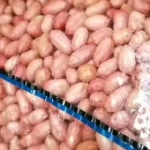 山东省邹城市花生米鲁花8号花生米8个筛上精米，