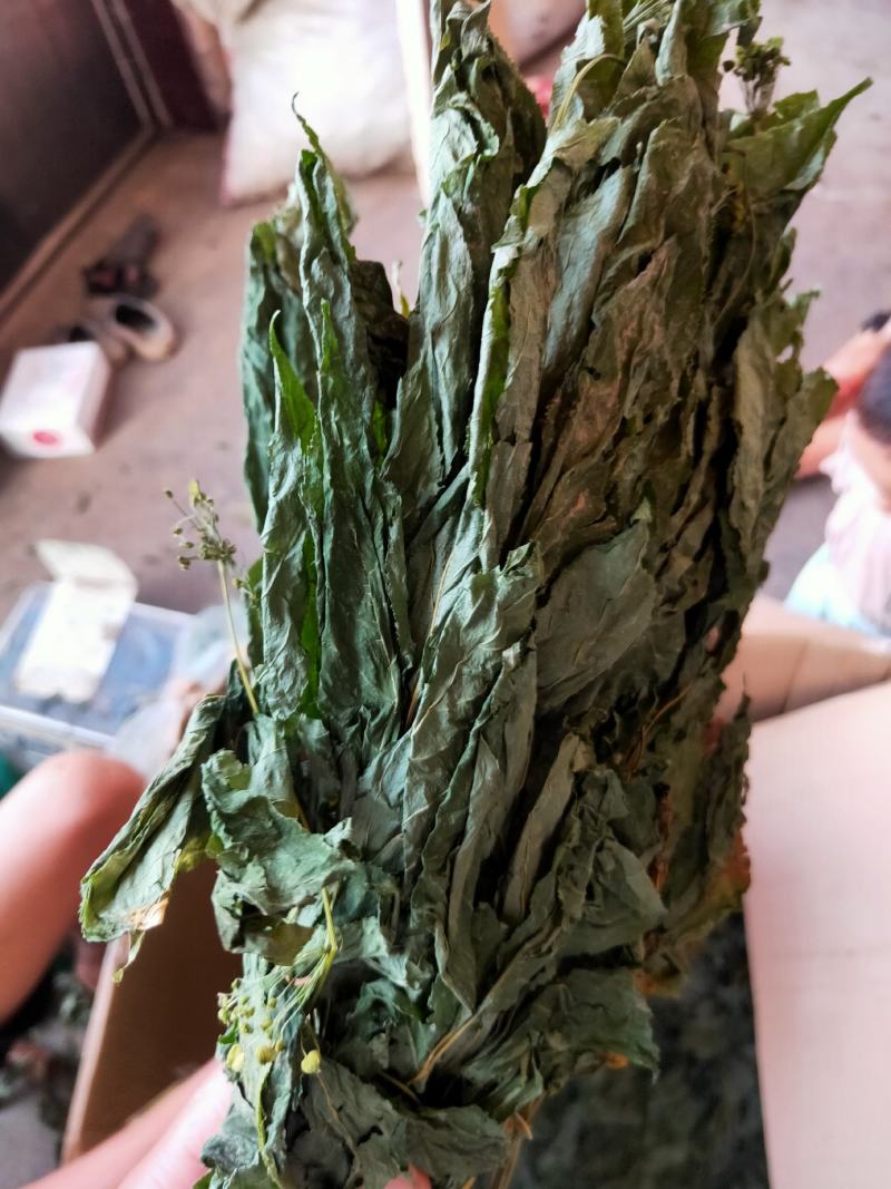 人参叶干度好纯青货不满意可以退换货