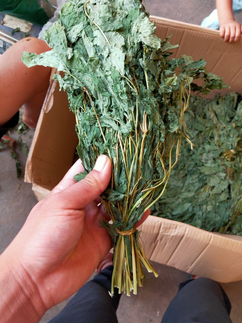 人参叶干度好纯青货不满意可以退换货