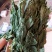 人参叶干度好纯青货不满意可以退换货