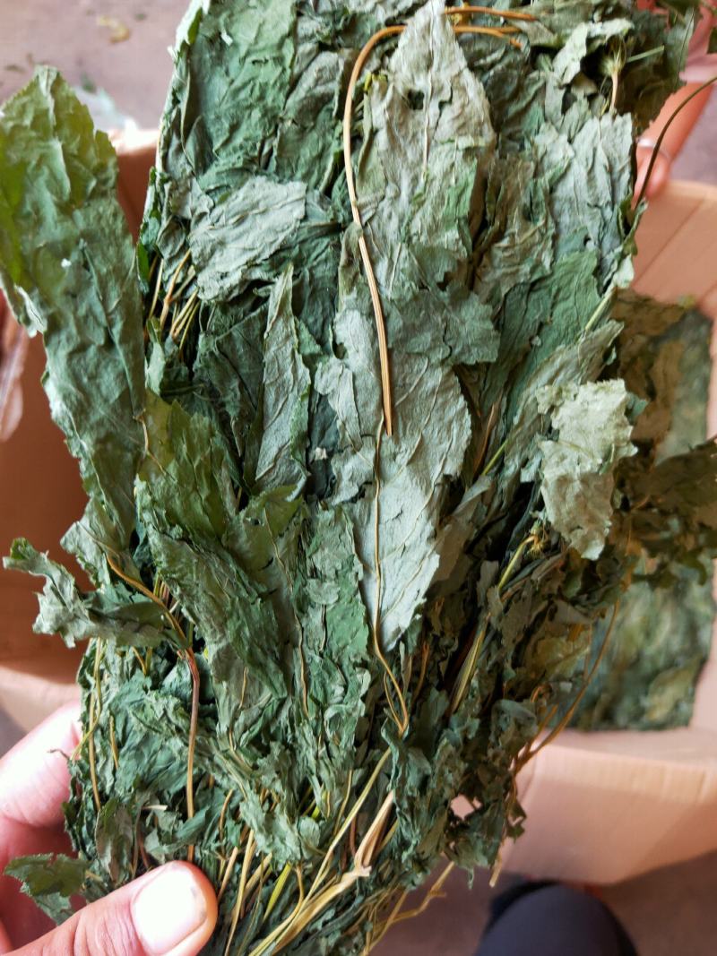人参叶干度好纯青货不满意可以退换货