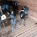 四川本地黑山羊母羊25元一斤(供技术对接包回收)