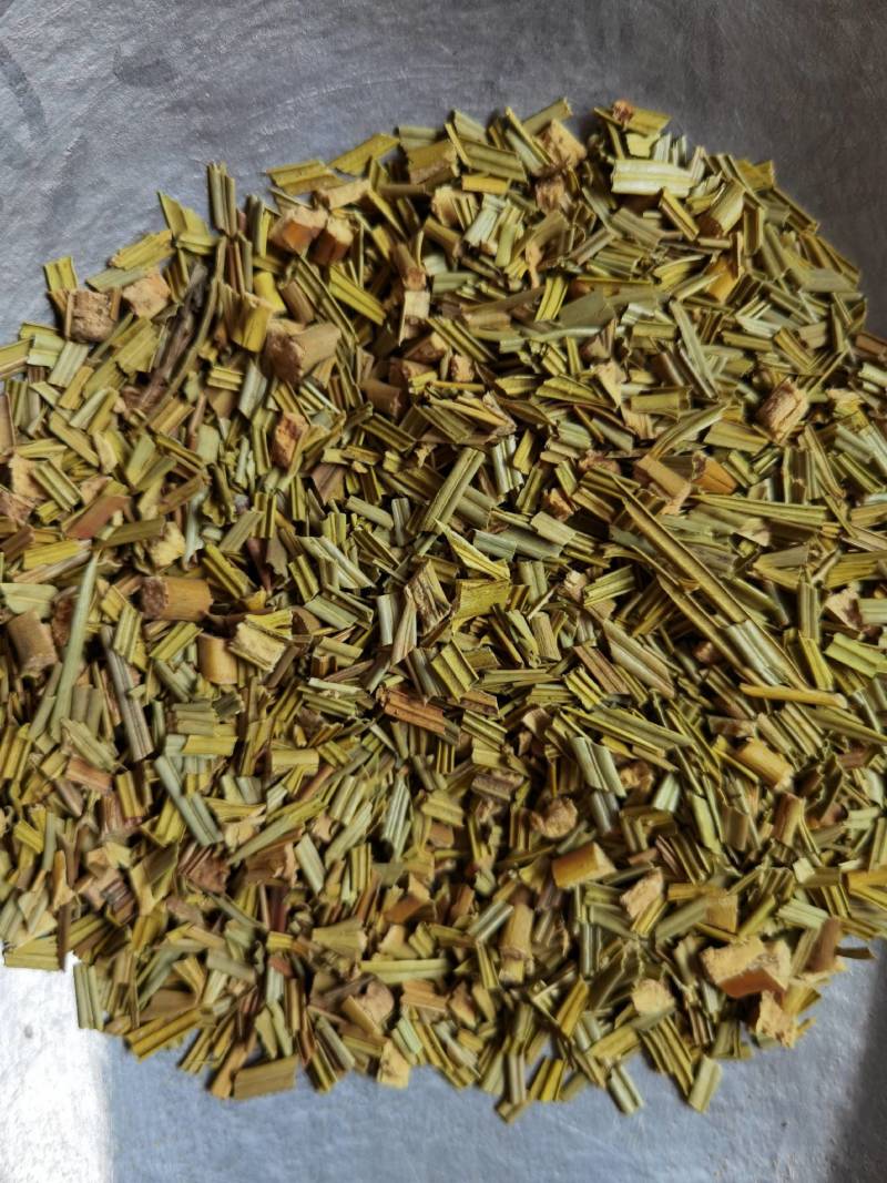 铁树叶正品新货青黄色优质铁树叶大货批发