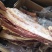 兆达畜产品大量批发多肉牛肋排段