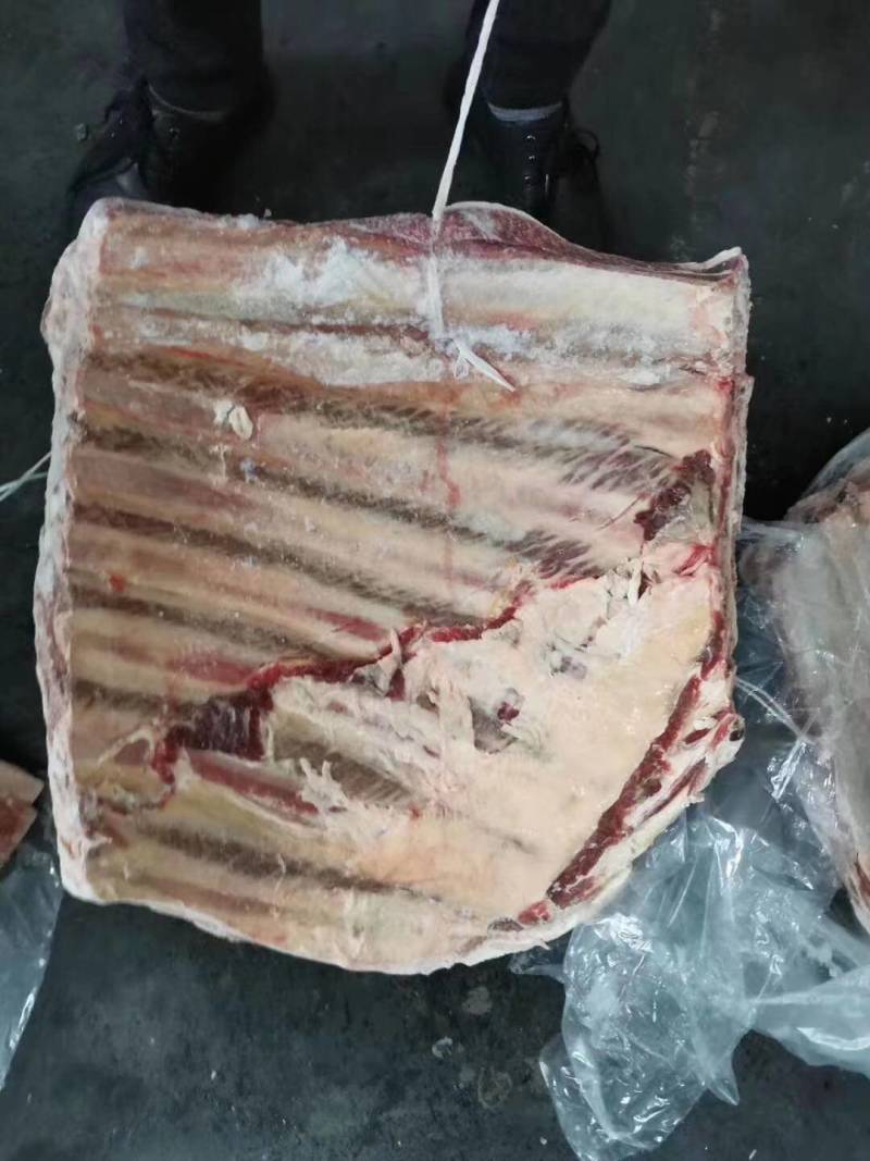 兆达畜产品大量批发多肉牛肋排段