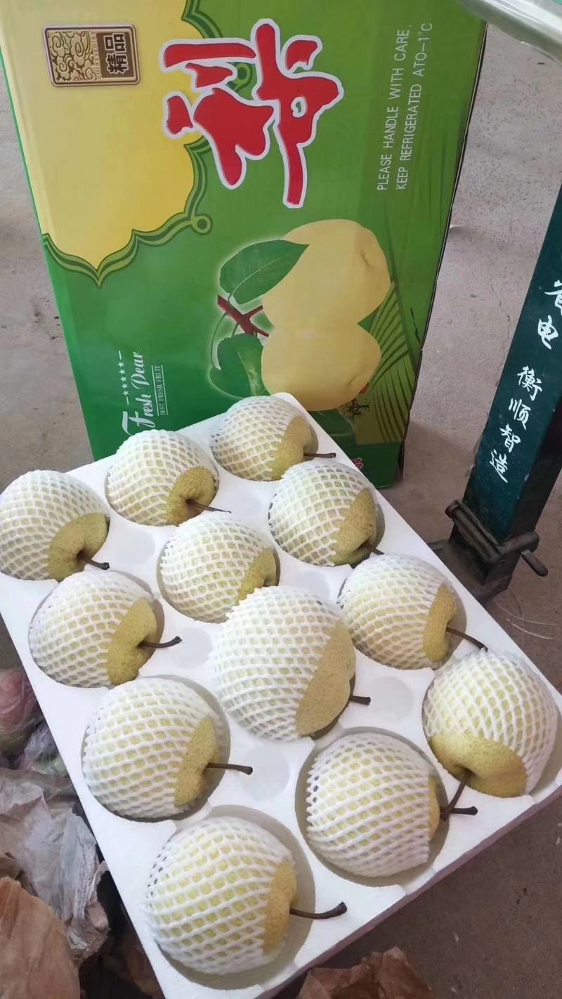 新鲜酥梨贡梨【一件代发】承接电商微商团购礼品礼盒