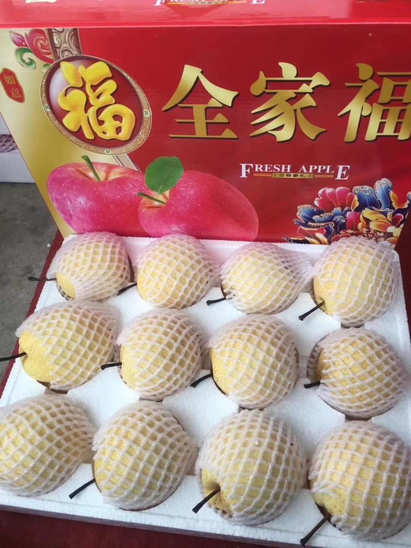 新鲜酥梨贡梨【一件代发】承接电商微商团购礼品礼盒
