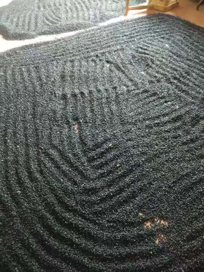 河南南阳供应玉兰种子，辛夷种子，二乔玉兰种子，保证质量。