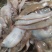 纯海洋龙利鱼舌头鱼比目鱼，鳎目鱼肉质鲜嫩，油炸红烧更好吃