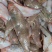 纯海洋龙利鱼舌头鱼比目鱼，鳎目鱼肉质鲜嫩，油炸红烧更好吃