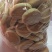老面发饼小发饼九江特产[全国包邮一件代发]
