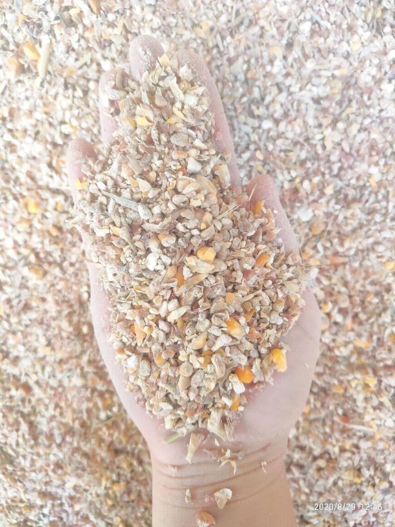 碎玉米烘干粮玉米粉颗粒料养殖好粮