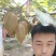 湖南湘西猕猴桃水果绿心的