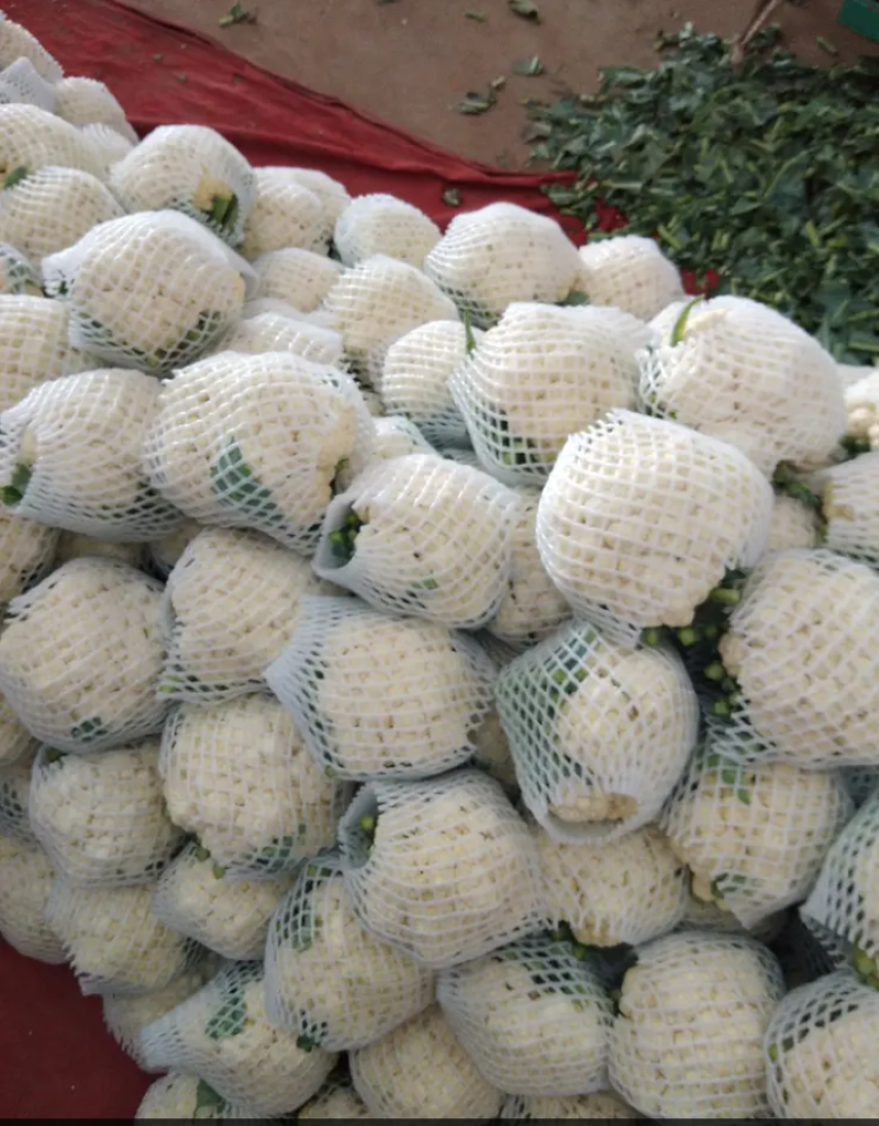 精品花菜，花质紧密，花白，量大质优