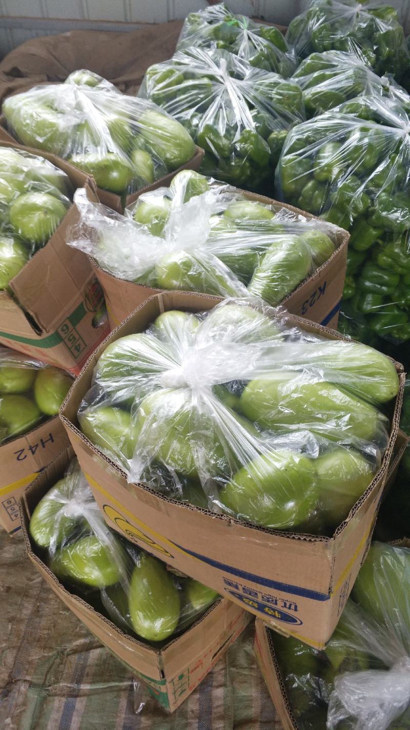 青茄大量上市产地直供商超转供电商对接包装齐全