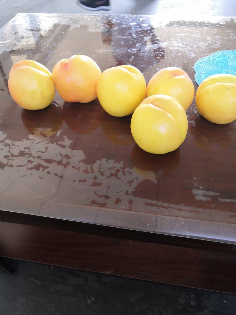 辽宁绥中精品中油八大油桃正在热销中