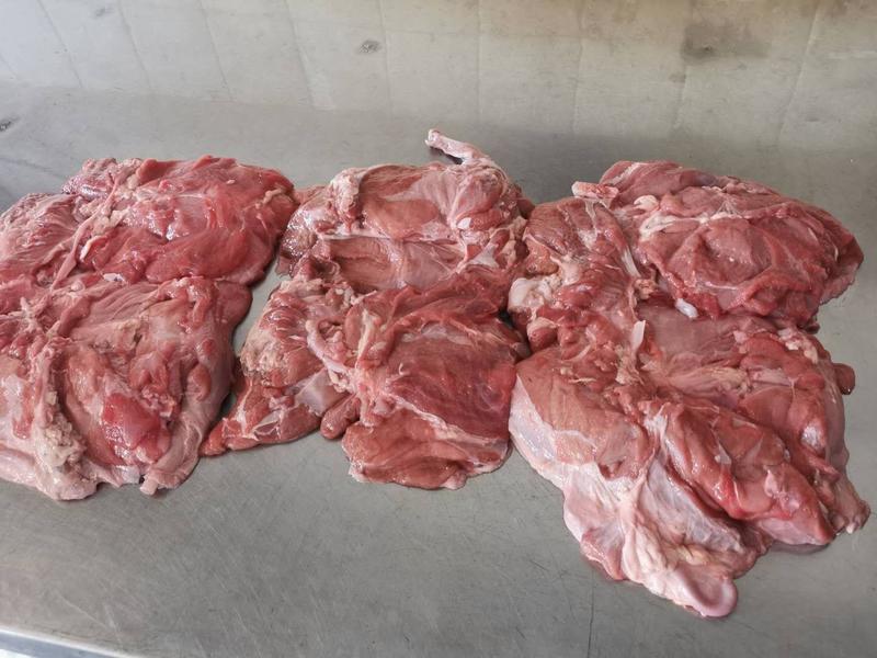 国产全系列乳牛系列肉类放血后腿肉，小牛后腿肉