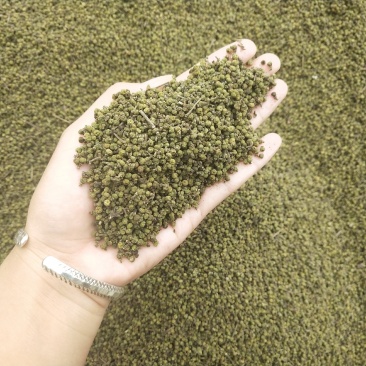 自家种的吴株萸干果有需要的老板请联系