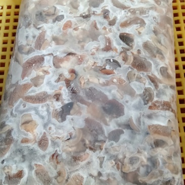急冻蜗牛肉有黑色和黄色