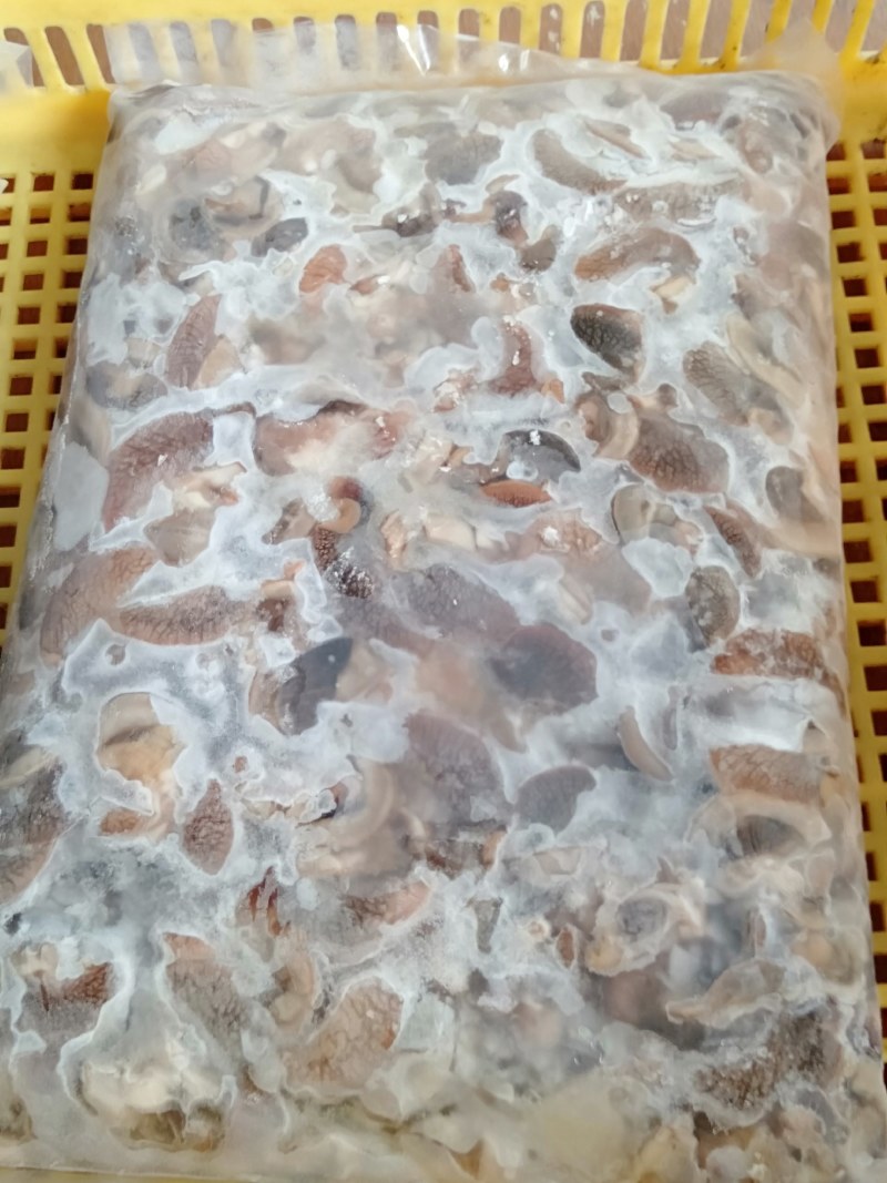 急冻蜗牛肉有黑色和黄色