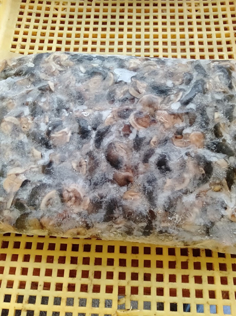 急冻蜗牛肉有黑色和黄色