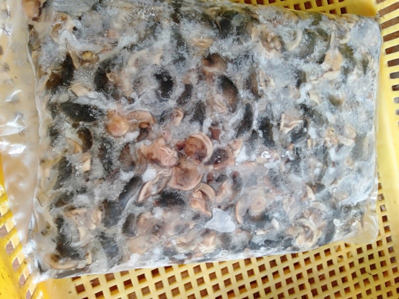 急冻蜗牛肉有黑色和黄色
