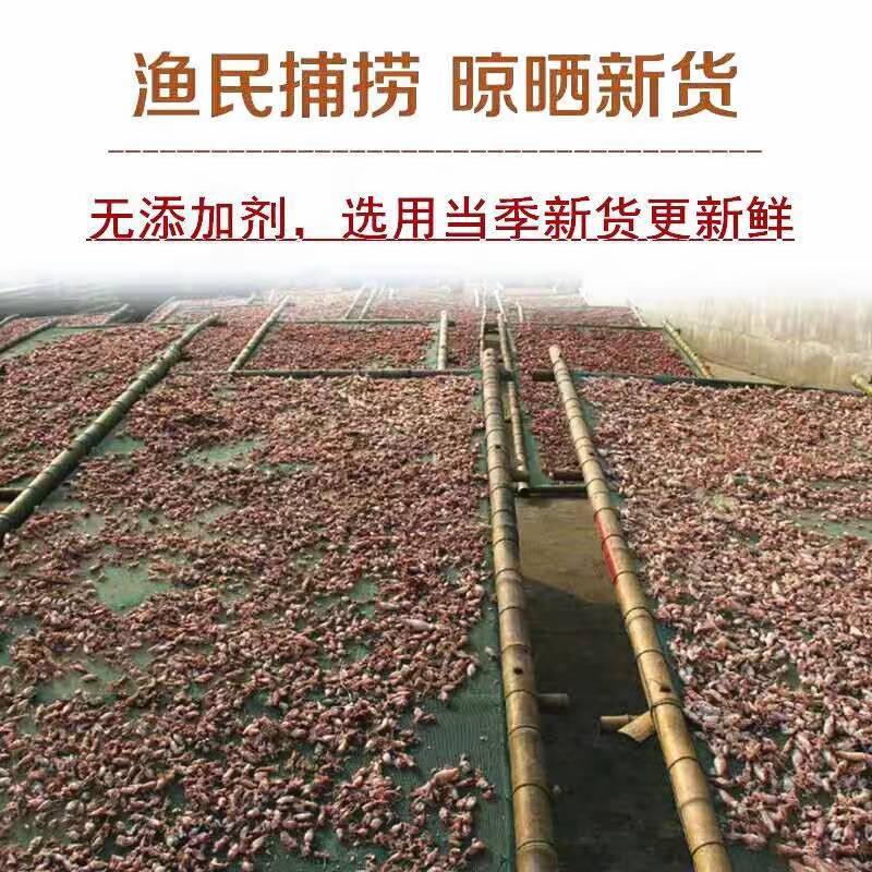 海兔海兔子干海鲜笔管鱼自然晾晒营养价值高
