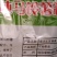 纯土豆粉条干粉条火锅麻辣烫粉条炒粉炖肉粉条凉拌菜粉