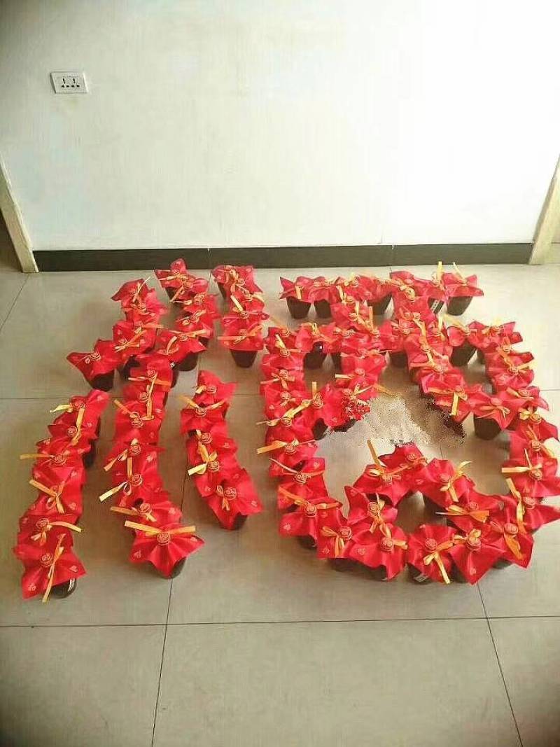 房县黄酒洑汁酒地道农家酿地理标志产品一件代发