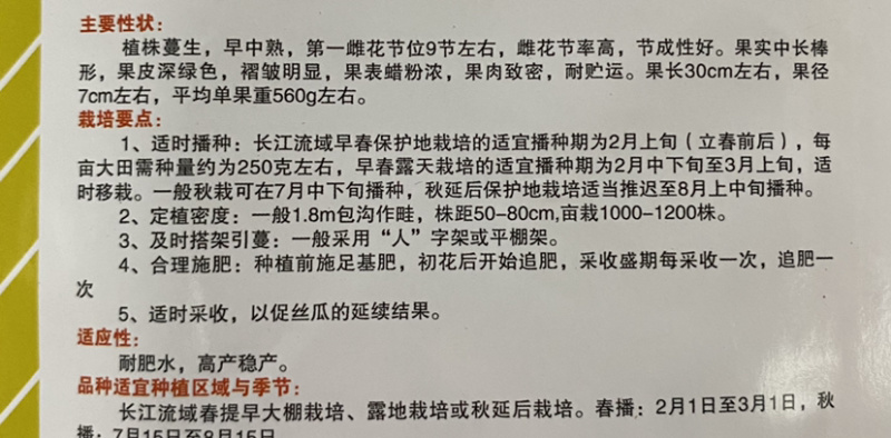 杂交皱皮丝瓜种子早中熟产量高欢迎咨询