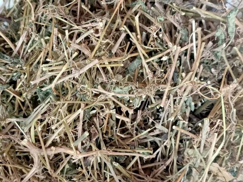 广西中药材绞股蓝药用绞股蓝七叶参七叶胆500g